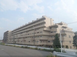 パークテラス桂川307号室の物件外観写真